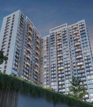 Dotom Sapphire Malad